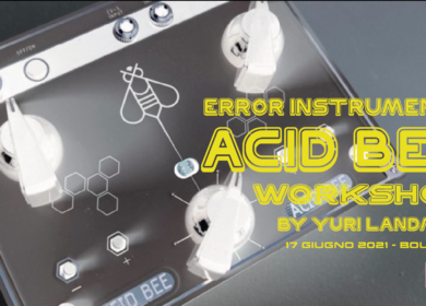 ACID BEE Workshop By Yuri Landman